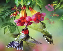 Laden Sie das Bild in den Galerie-Viewer, Diamond Painting – Colibris und ihre Blumen