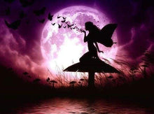 Laden Sie das Bild in den Galerie-Viewer, Diamond Painting, Fee und Vollmond