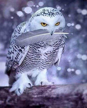 Laden Sie das Bild in den Galerie-Viewer, Diamond Painting, Eulenfeder