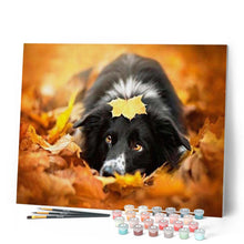 Laden Sie das Bild in den Galerie-Viewer, Malen nach Zahlen für Erwachsene | Hund in den Blättern | Figured'Art