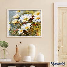 Laden Sie das Bild in den Galerie-Viewer, Malen nach Zahlen für Erwachsene | Gänseblümchen Feld | Figured'Art