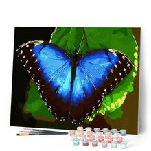 Laden Sie das Bild in den Galerie-Viewer, Malen nach Zahlen für Erwachsene | Blauer Schmetterling | Figured'Art