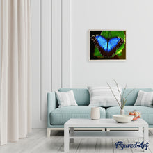 Laden Sie das Bild in den Galerie-Viewer, Malen nach Zahlen für Erwachsene | Blauer Schmetterling | Figured'Art