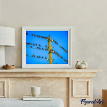 Laden Sie das Bild in den Galerie-Viewer, Malen nach Zahlen für Erwachsene | Kleine Vögel auf Überlandleitung | Figured'Art