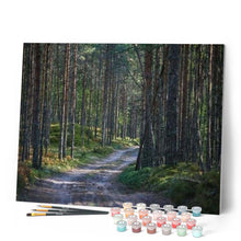 Laden Sie das Bild in den Galerie-Viewer, Malen nach Zahlen für Erwachsene | Spaziergang im Wald 2 | Figured'Art