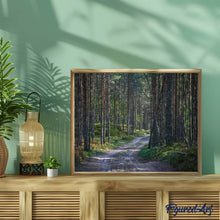 Laden Sie das Bild in den Galerie-Viewer, Malen nach Zahlen für Erwachsene | Spaziergang im Wald 2 | Figured'Art