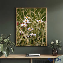 Laden Sie das Bild in den Galerie-Viewer, Malen nach Zahlen für Erwachsene | Gänseblümchen im Garten | Figured'Art
