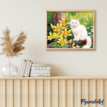 Laden Sie das Bild in den Galerie-Viewer, Malen nach Zahlen für Erwachsene | Weiße Katze und Schmetterling | Figured'Art