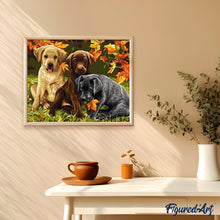 Laden Sie das Bild in den Galerie-Viewer, Malen nach Zahlen für Erwachsene | Welpen und Herbstlaub | Figured'Art