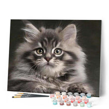 Laden Sie das Bild in den Galerie-Viewer, Malen nach Zahlen für Erwachsene | Hübsche Maine-Coon-Katze | Figured'Art