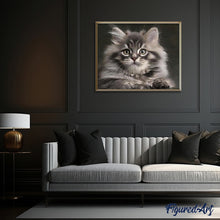 Laden Sie das Bild in den Galerie-Viewer, Malen nach Zahlen für Erwachsene | Hübsche Maine-Coon-Katze | Figured'Art