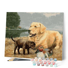 Laden Sie das Bild in den Galerie-Viewer, Malen nach Zahlen für Erwachsene | Golden Retriever Hund | Figured'Art