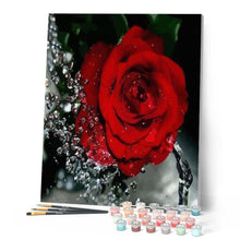 Laden Sie das Bild in den Galerie-Viewer, Malen nach Zahlen für Erwachsene | Duft der roten Rosen | Figured'Art
