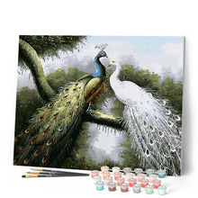 Laden Sie das Bild in den Galerie-Viewer, Malen nach Zahlen für Erwachsene | Pfauen in der Liebe | Figured'Art