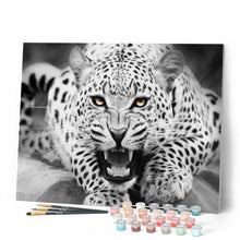 Laden Sie das Bild in den Galerie-Viewer, Malen nach Zahlen für Erwachsene | Schwarz weißer Leopard auf dem Boden liegend | Figured'Art