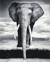 Laden Sie das Bild in den Galerie-Viewer, Malen nach Zahlen fŸr Erwachsene |ÊGrauer Elefant | Figured&#39;Art