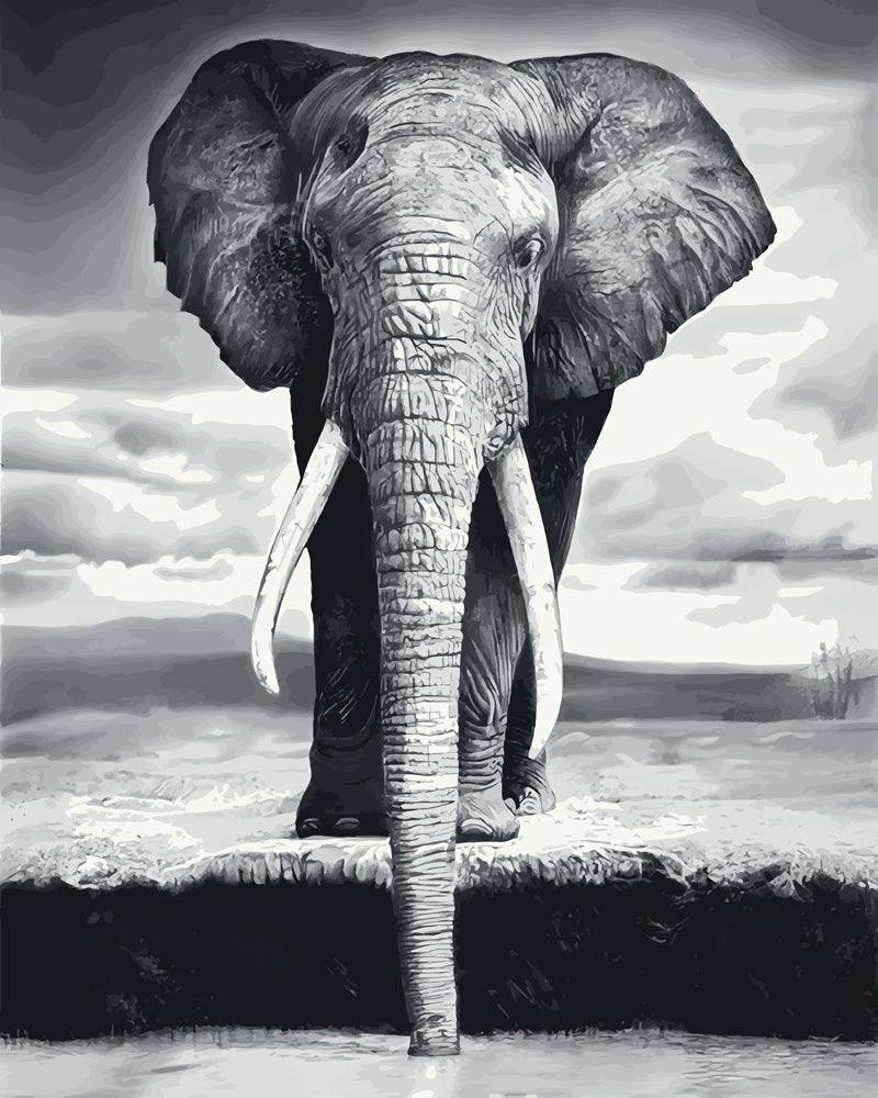Malen nach Zahlen fŸr Erwachsene |ÊGrauer Elefant | Figured'Art