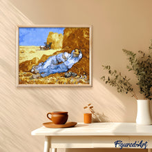 Laden Sie das Bild in den Galerie-Viewer, Malen nach Zahlen für Erwachsene | Van Gogh - Feld | Figured'Art