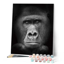 Laden Sie das Bild in den Galerie-Viewer, Malen nach Zahlen für Erwachsene | Gorilla in schwarzweiß | Figured'Art