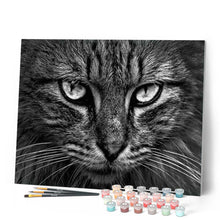 Laden Sie das Bild in den Galerie-Viewer, Malen nach Zahlen Erwachsene Katzenkopf Figured'Art