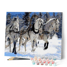 Laden Sie das Bild in den Galerie-Viewer, Malen nach Zahlen für Erwachsene | Drei Pferde im Schnee | Figured'Art