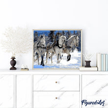 Laden Sie das Bild in den Galerie-Viewer, Malen nach Zahlen für Erwachsene | Drei Pferde im Schnee | Figured'Art
