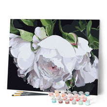Laden Sie das Bild in den Galerie-Viewer, Malen nach Zahlen für Erwachsene | Weisse Rosen | Figured'Art