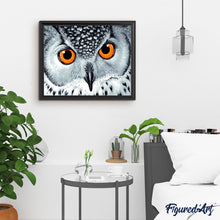Laden Sie das Bild in den Galerie-Viewer, Malen nach Zahlen für Erwachsene | Augen einer orangen Eule | Figured'Art