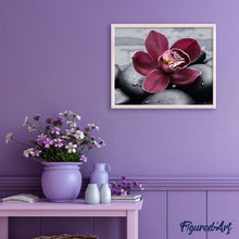 Laden Sie das Bild in den Galerie-Viewer, Malen nach Zahlen für Erwachsene | Orchidee und Stein | Figured'Art