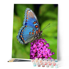Laden Sie das Bild in den Galerie-Viewer, Malen nach Zahlen für Erwachsene | Schmetterling auf der Blume | Figured'Art