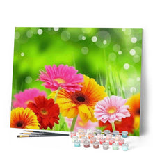 Laden Sie das Bild in den Galerie-Viewer, Malen nach Zahlen für Erwachsene | Frühlingsblumen | Figured'Art