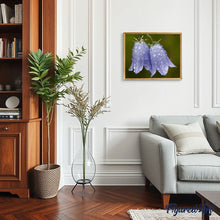 Laden Sie das Bild in den Galerie-Viewer, Malen nach Zahlen für Erwachsene | Glockenblume nach dem Regen | Figured'Art