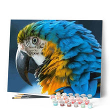 Laden Sie das Bild in den Galerie-Viewer, Malen nach Zahlen für Erwachsene | Blauegelber Papagei | Figured'Art