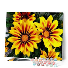 Laden Sie das Bild in den Galerie-Viewer, Malen nach Zahlen für Erwachsene | Zweifarbige Blumen | Figured'Art