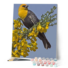 Laden Sie das Bild in den Galerie-Viewer, Malen nach Zahlen für Erwachsene | Vogel mit gelbem Kopf | Figured'Art