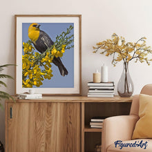 Laden Sie das Bild in den Galerie-Viewer, Malen nach Zahlen für Erwachsene | Vogel mit gelbem Kopf | Figured'Art