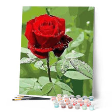 Laden Sie das Bild in den Galerie-Viewer, Malen nach Zahlen für Erwachsene | Rote Rose mit grünen Blätter | Figured'Art