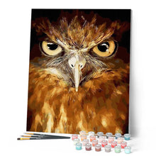 Laden Sie das Bild in den Galerie-Viewer, Malen nach Zahlen für Erwachsene | Stechende Augen Adler | Figured'Art