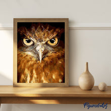 Laden Sie das Bild in den Galerie-Viewer, Malen nach Zahlen für Erwachsene | Stechende Augen Adler | Figured'Art