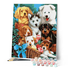 Laden Sie das Bild in den Galerie-Viewer, Malen nach Zahlen für Erwachsene | Kleine Hunde in einem Korb | Figured'Art