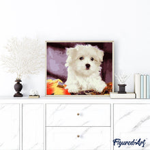 Laden Sie das Bild in den Galerie-Viewer, Malen nach Zahlen für Erwachsene | Kleiner weißer Hund | Figured'Art