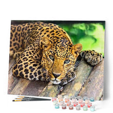 Laden Sie das Bild in den Galerie-Viewer, Hübscher Gepard