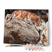 Laden Sie das Bild in den Galerie-Viewer, Malen nach Zahlen Erwachsene Luchs Figured'Art