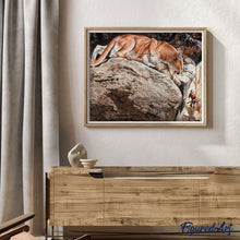 Laden Sie das Bild in den Galerie-Viewer, Malen nach Zahlen Erwachsene Luchs Figured'Art