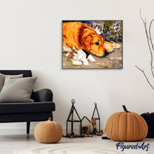 Laden Sie das Bild in den Galerie-Viewer, Malen nach Zahlen für Erwachsene | Katzen und Hunde | Figured'Art