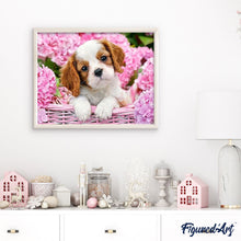 Laden Sie das Bild in den Galerie-Viewer, Malen nach Zahlen für Erwachsene | Hund im rosaroten Korb | Figured'Art
