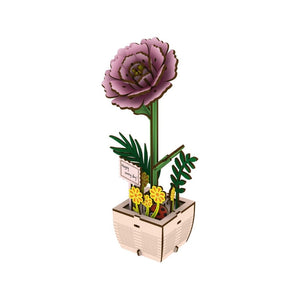 3D Puzzle - Pfingstrose