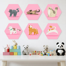 Laden Sie das Bild in den Galerie-Viewer, Mini Serie Malen nach Zahlen - Sechsecke (6 Stück) - Tiere in Pink