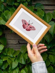 Mini Serie Diamond Painting - Schmetterlinge 2