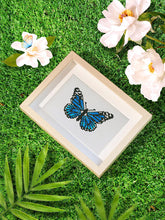 Laden Sie das Bild in den Galerie-Viewer, Mini Serie Diamond Painting - Schmetterlinge 2